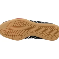 Adipista