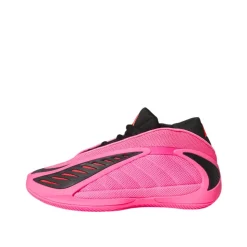Anthony Edwards 2 J Shoes