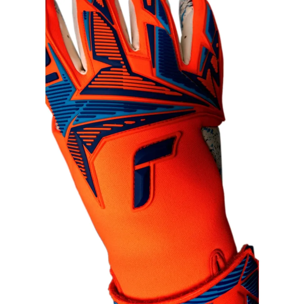 Attrakt Freegel Fusion