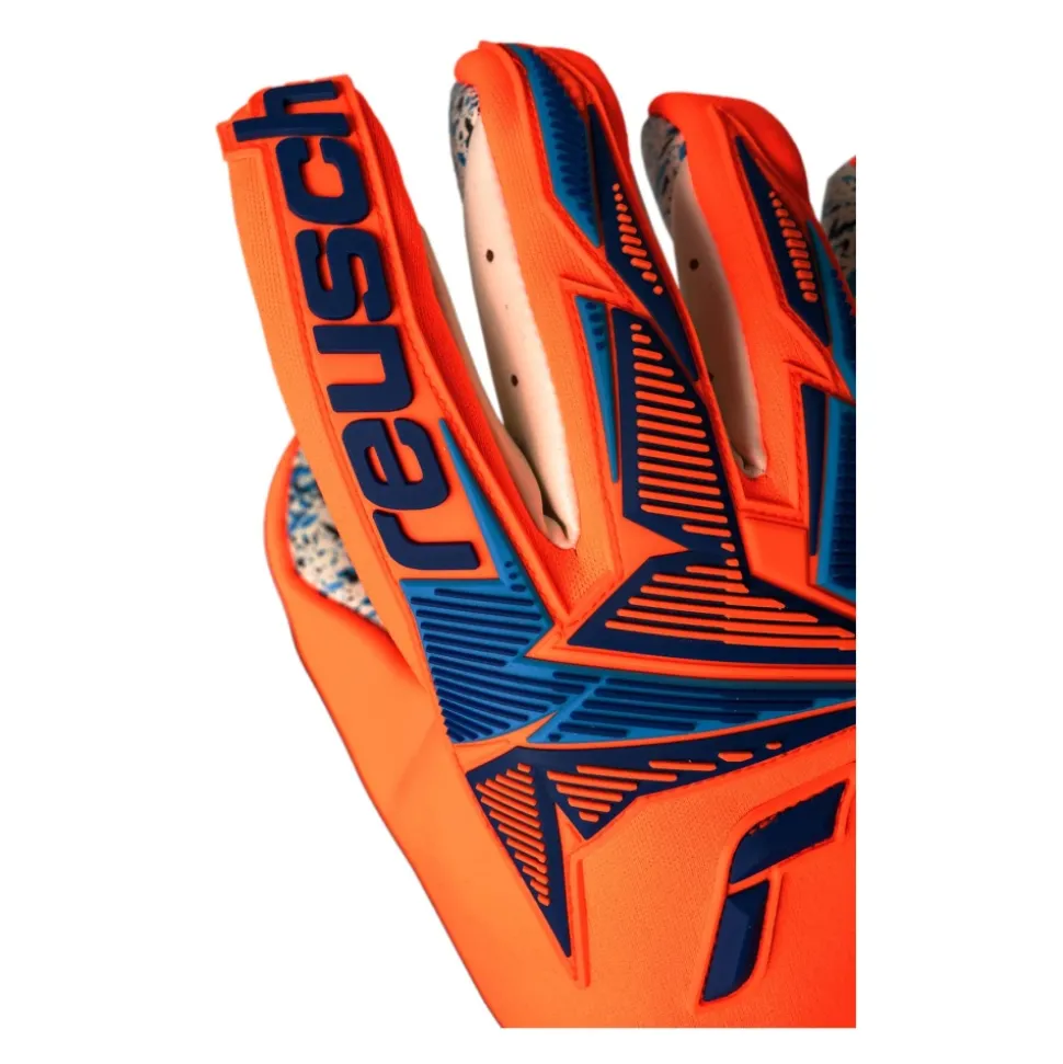 Attrakt Freegel Fusion