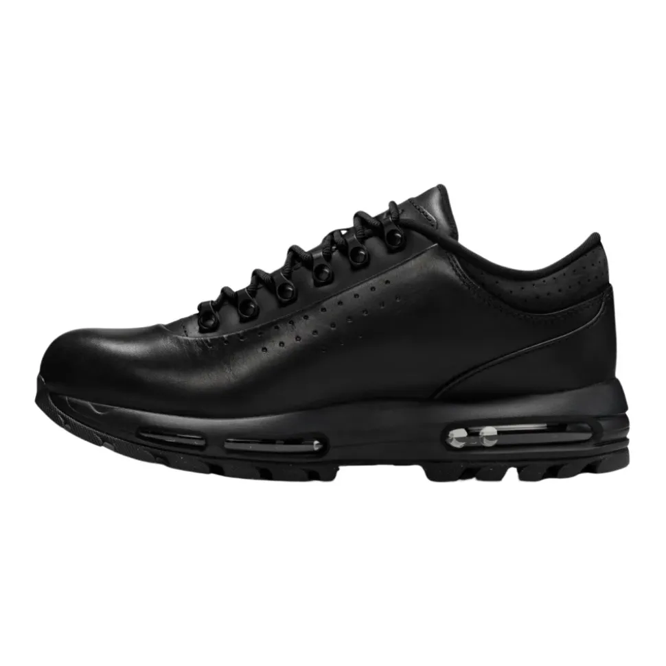 Baskets basses Air Max Goadome SP