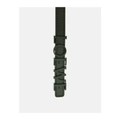 Ceinture Audacieuse Vert Forêt avec Logo