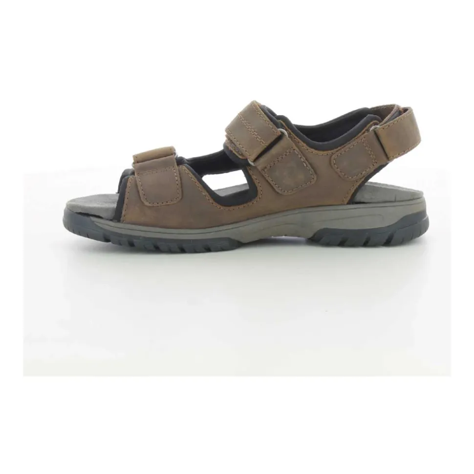 Chaussures Homme Marron Harald Z24