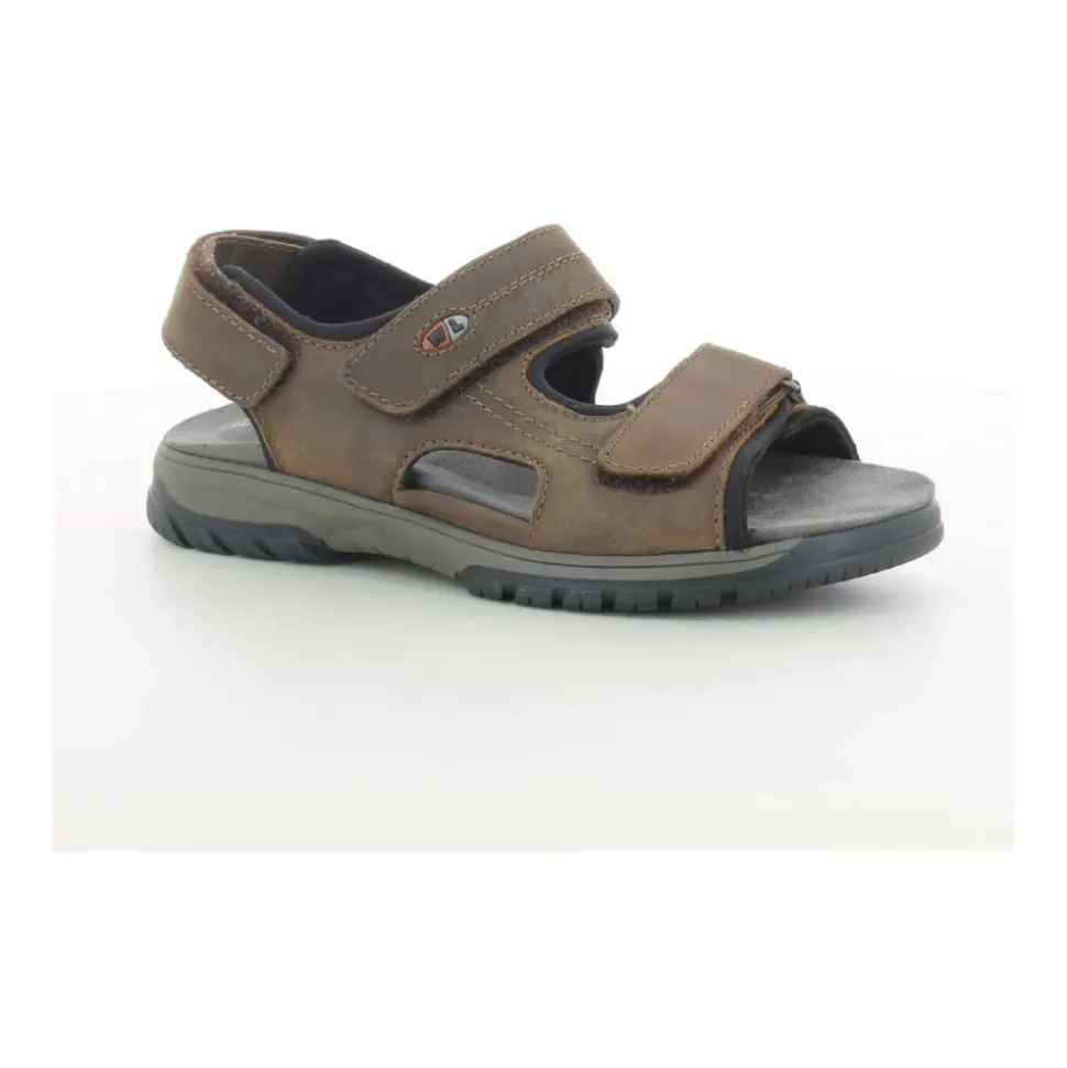 Chaussures Homme Marron Harald Z24