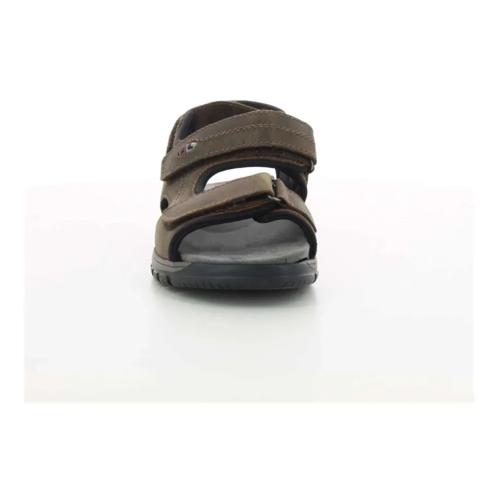 Chaussures Homme Marron Harald Z24