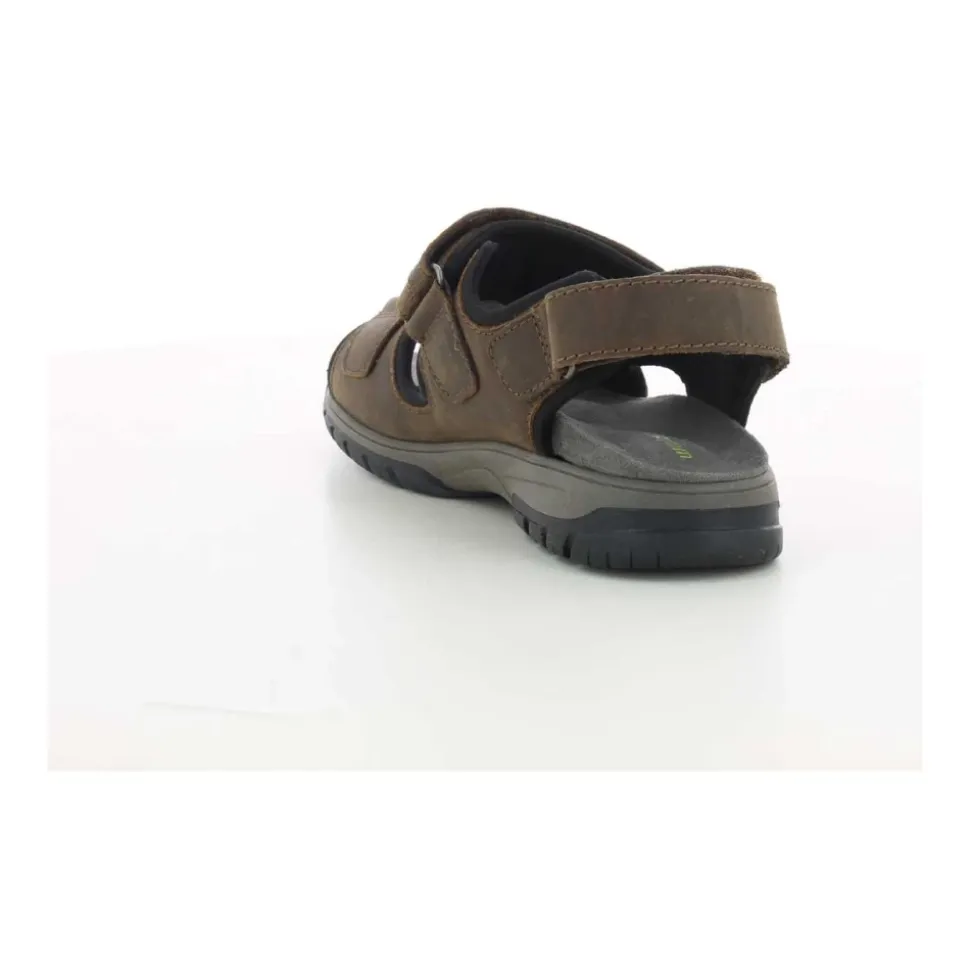 Chaussures Homme Marron Harald Z24