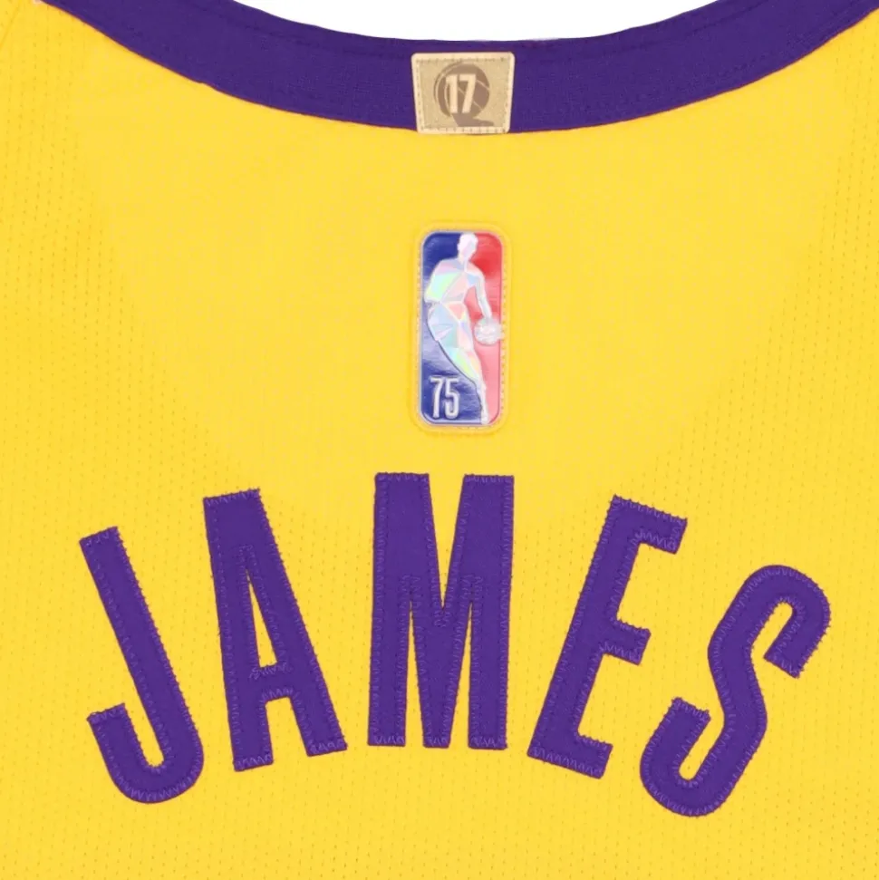 Débardeur de basket NBA LeBron James