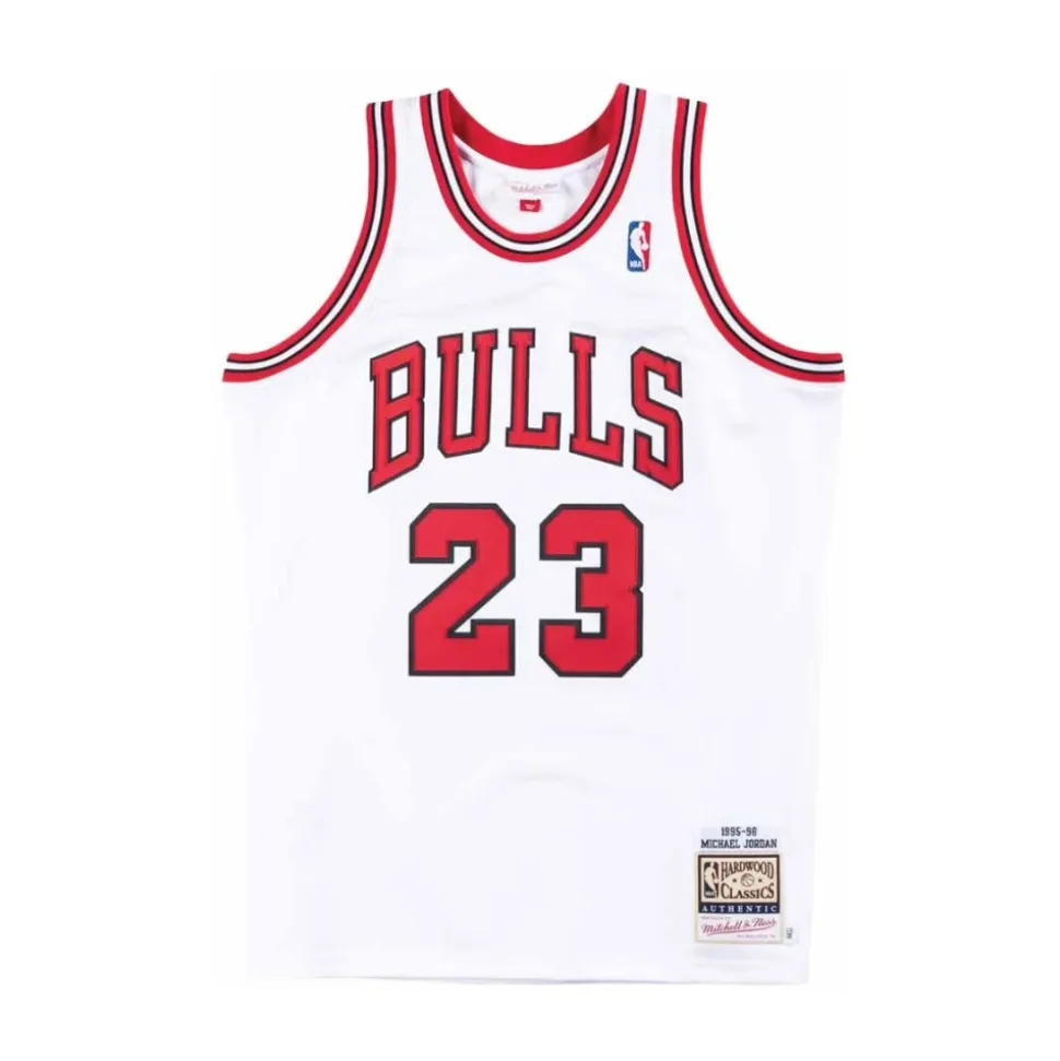 Maillot Authentique Michael Jordan 1995-96 23