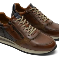 Temple Zip Sneaker