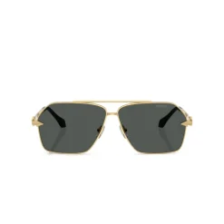 VE2284 Sunglasses