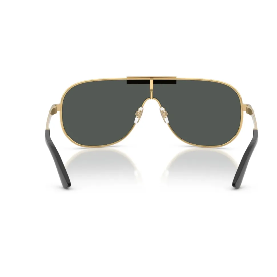 VE2293 Sunglasses