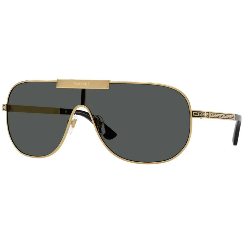 VE2293 Sunglasses