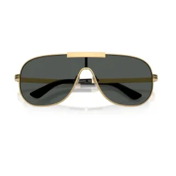 VE2293 Sunglasses