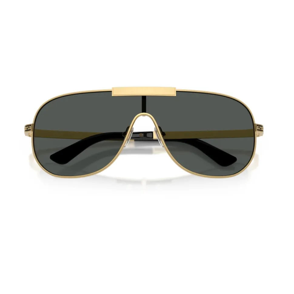 VE2293 Sunglasses