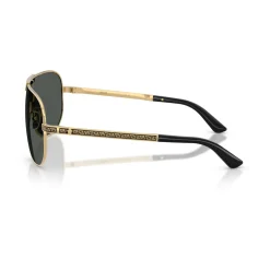 VE2293 Sunglasses